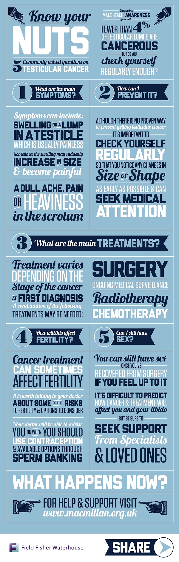 testicular cancer infographic